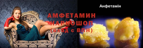 ГАЛЛЮЦИНОГЕННЫЕ ГРИБЫ Вязники