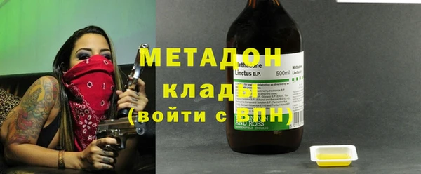 прущие грибы Горно-Алтайск