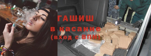 прущие грибы Горно-Алтайск