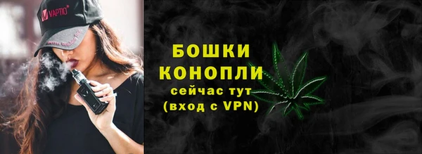 прущие грибы Горно-Алтайск