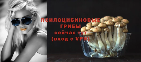 a pvp Вяземский