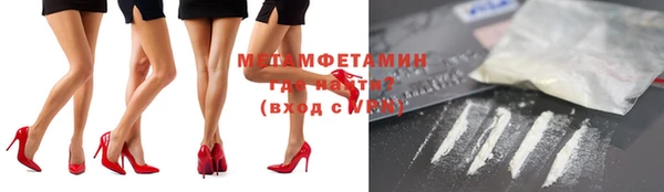 прущие грибы Горно-Алтайск