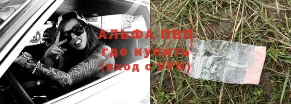 ГАЛЛЮЦИНОГЕННЫЕ ГРИБЫ Вязники