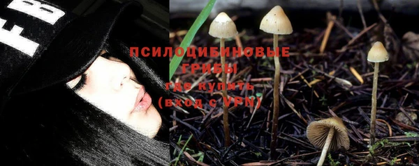 a pvp Вяземский
